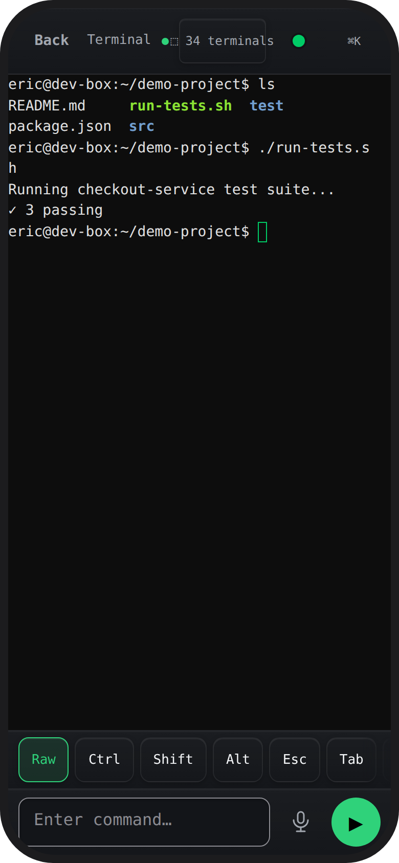 DevReins terminal running the project test suite on the dev box